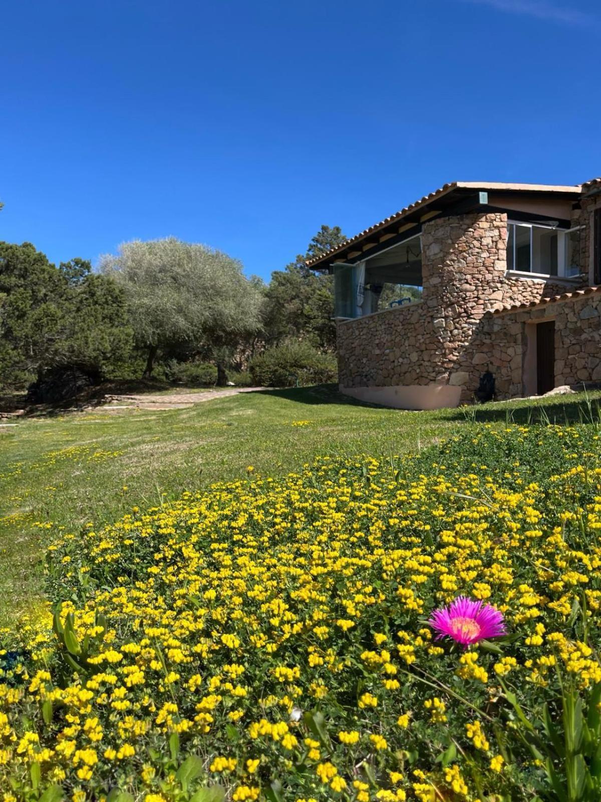 House On The Beach - Porto Rotondo Exterior foto